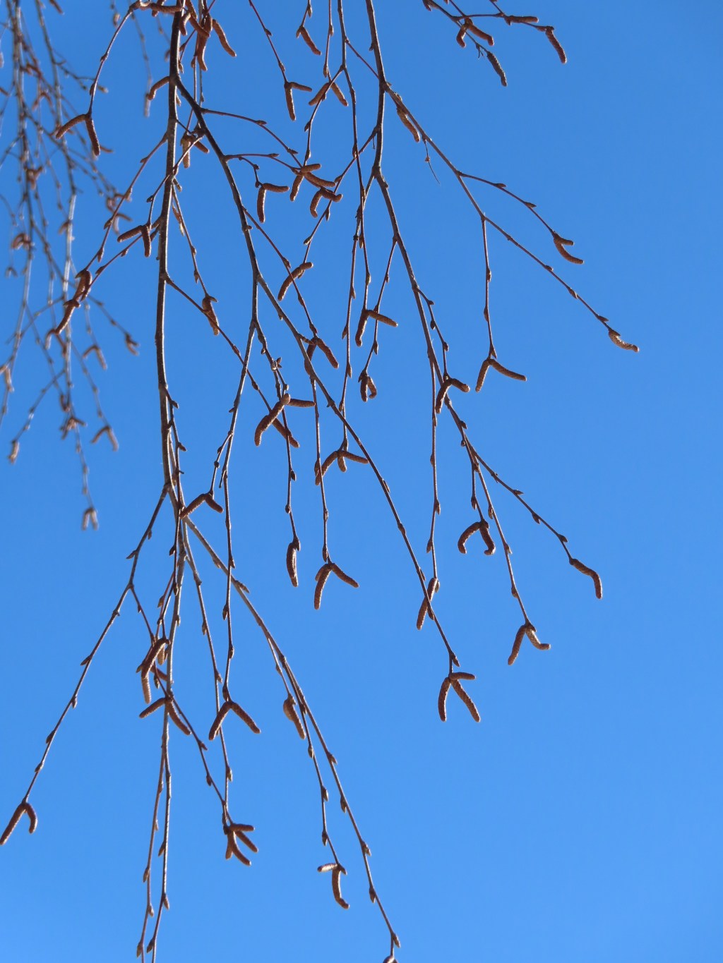 3. Cirkadisk rytm –&nbsp;Sömn