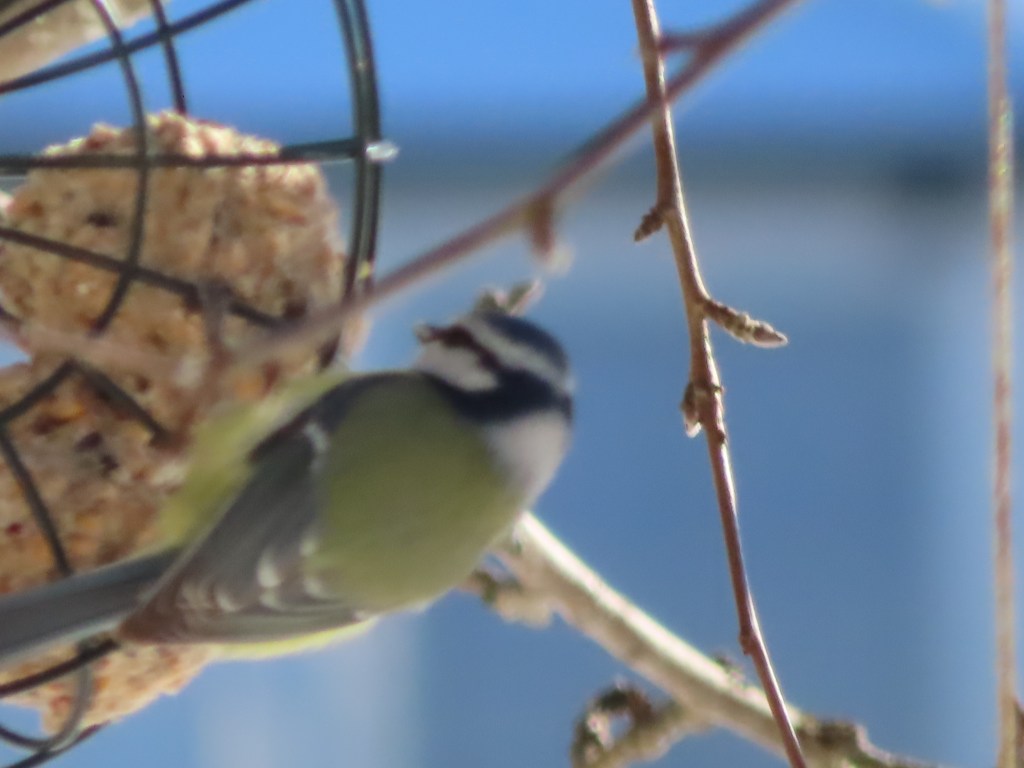 2. Cirkadisk Rytm –&nbsp;Mat