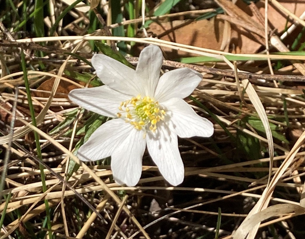 9. Cirkadisk rytm – Fysisk&nbsp;aktivitet