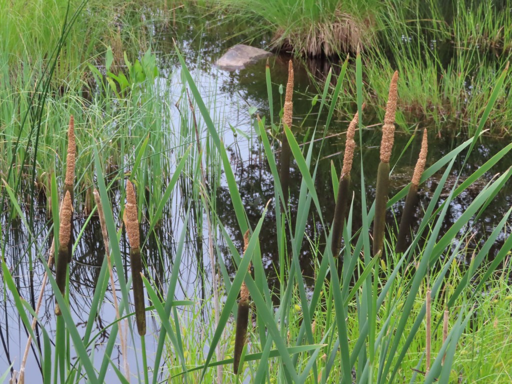 34. Hur ska man&nbsp;tänka?