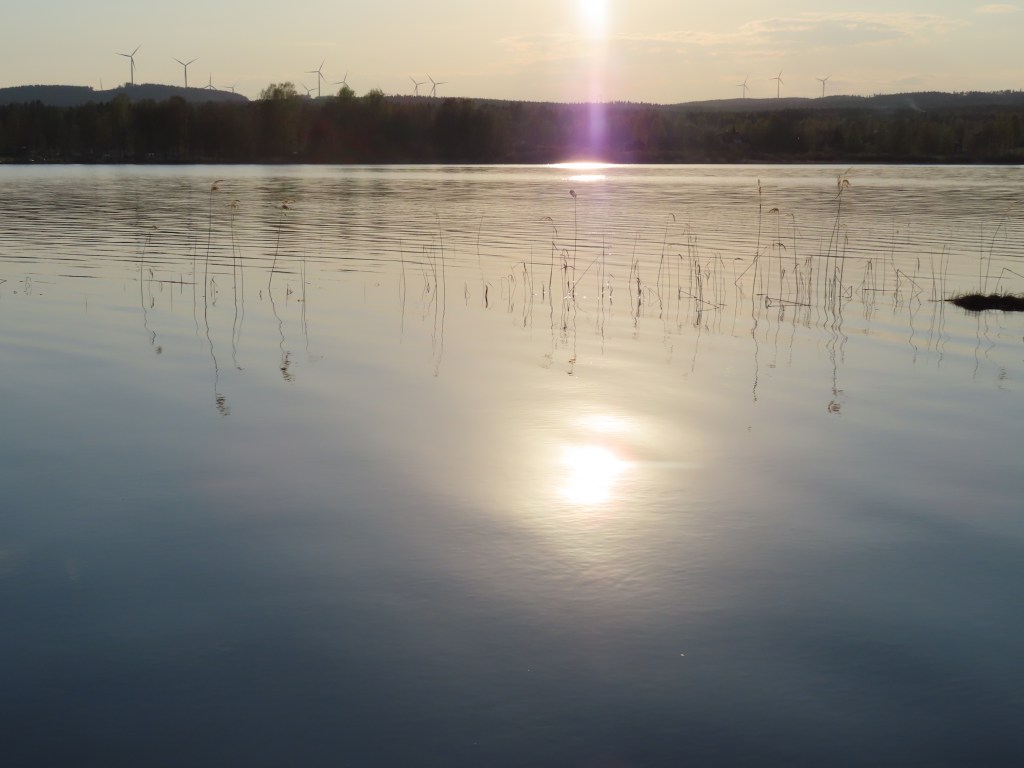 40. Cirkadisk rytm – det viktiga&nbsp;ljuset