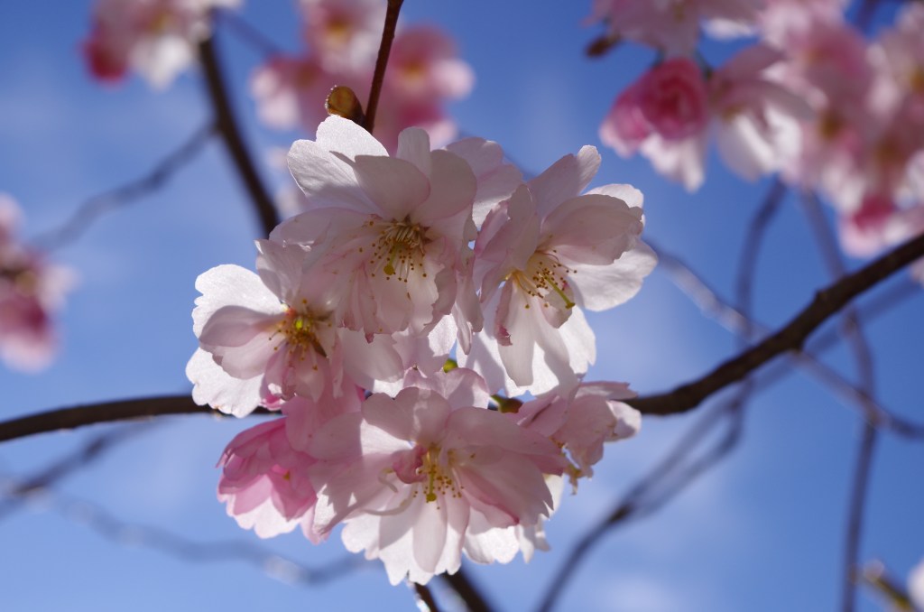 39. Min cancerresa –&nbsp;Strålningen