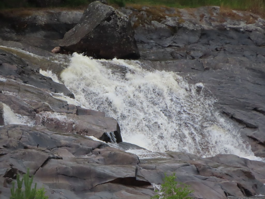 43. Kvinnliga hormoner – den viktiga&nbsp;balansen