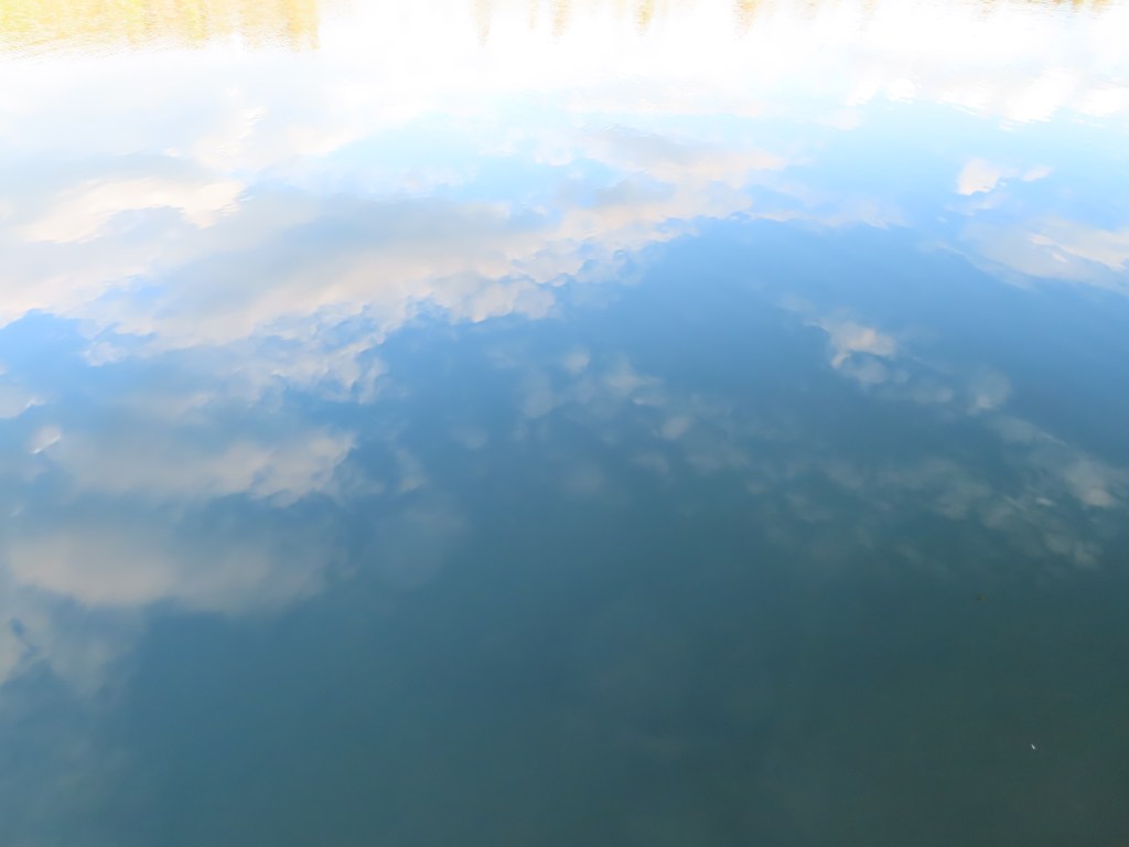 52. Min cancerresa – minska risken för&nbsp;återfall