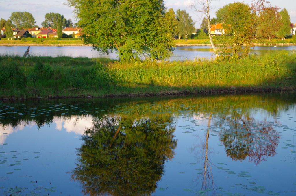 65. Kommunicera till Aphjärnan eller reptilhjärnan?