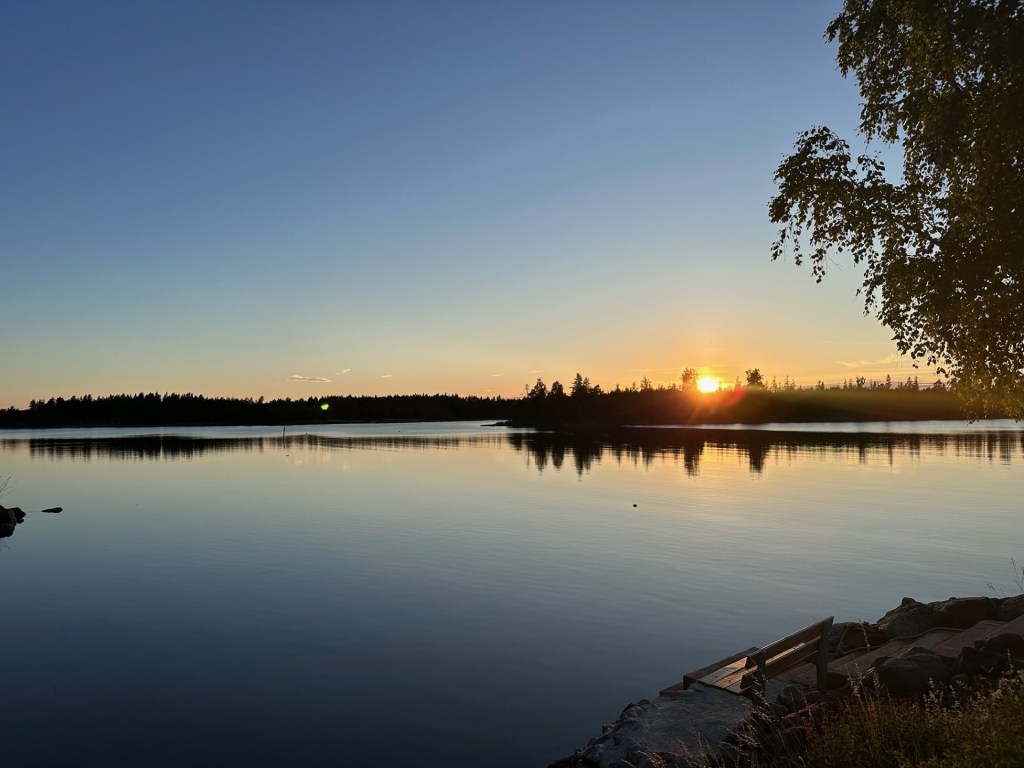 68. Bukspottkörteln