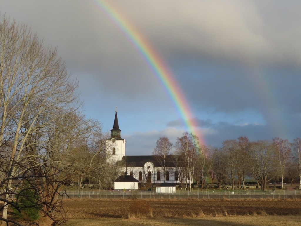 69. Radikal acceptans